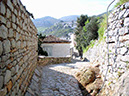 hydra_019